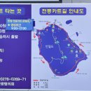 전남 퍼플섬? 아이와 전동카트타기!