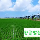 김영식농장 이미지