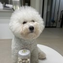 견생맛스토어 이미지