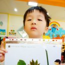 성우유치원 이미지