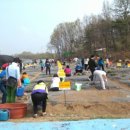 와봄
