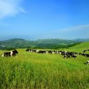 서정목장 이미지