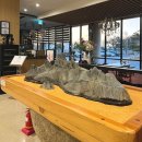 밀양관광호텔 | 밀양 호텔아리나 리버뷰 디럭스 더블 객실, 부대시설 피트니스 조식 솔직후기