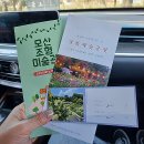보령시모란공원 준비실 | 사랑이 이루어지는 곳, 보령 개화예술공원 / 포토존 천국 / 리리스카페 / 허브꽃밥집
