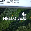 1081 | 제주 1박2일 혼자여행 ① : 김포공항~제주공항, 대한항공 셀프 체크인 - KE1081 비상구 좌석 후기