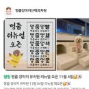 멍줍 강아지 산책 유치원 이미지