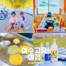 금산자전거대여소 | 여수 고흥 여행 거금도 막걸리 유자호떡 해수욕장 둘레길 독채펜션