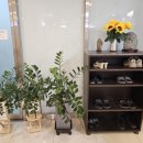 웅s의 몸사랑이야기 이미지