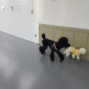 놀러왕왕왕 이미지