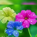 우면산둘레길 이미지