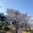 석남완충녹지공원 이미지