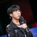 아레나피씨 이미지