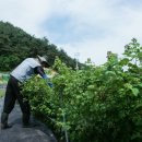 한이농장 이미지