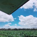 근성농장 이미지