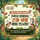 거북이네 | 북서울꿈의숲 대한민국 생물대탐험 후기 아이랑 가기 좋은 오감만족 체험 전시