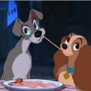 나는강아지 이미지