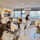 종로애견미용 이미지