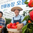 파리바게뜨전남 - 27537 | 파리바게뜨전남