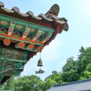 남장사약수터 | 상주 남장사 야영장 무료 노지 캠핑