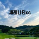 세레니티cc 라운드 후기,세레니티cc 생애 최초 이글했어요^^