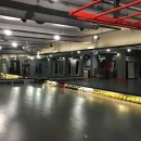 리스펙트킥복싱아카데미 이미지