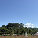 성지농원 | 핑크뮬리 성지 양주 나리농원 천일홍 축제 개장