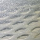 소마농장 이미지