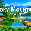 그레이트 스모키 산맥 국립공원 8K UHD 🌄 안개 낀 봉우리, 숲길, 폭포 이미지