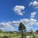 세종공인중개사사무소 이미지