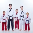 마지태권도장 이미지