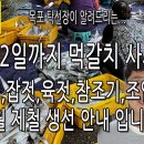 7월 제철 생선 (먹갈치,잡젓,육젓,참조기,금어기,신선도,어획기간,기타) 안내 입니다. 이미지