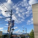 명광행정사무소 이미지