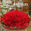 김은경 /신입회원 (환영합니다) 이미지
