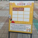조이랜드 | 대전 오월드/주말 자유이용권 조이랜드 후기!