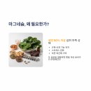 270-2031 | 아슈와간다+마그네슘, 번아웃 막는 비밀