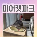 미어캣 | 혜화 실내 놀거리 대학로 미어캣파크 초등 아이와 체험 후기