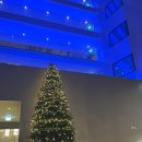 런던호텔 | 런던 히드로 공항 호텔 후기 | 밤 도착시 holiday inn express(홀리데이 인 익스프레스) 추천 이유