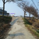 기성면사랑채 이미지