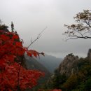 현경이네 Daum카페