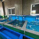 회뜨는집 이미지