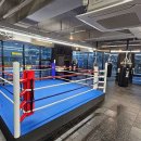 팀 몬스터 복싱 이미지