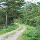 38선 숨길 디모테오길 이미지