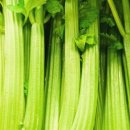 부산농장 이미지