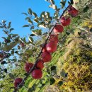 유진농산 이미지