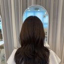 스타일호프 이미지