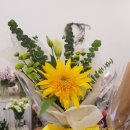 [10/29]가드닝 클래스 이미지