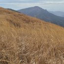 옥천매표소 이미지