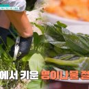 노닐다민박 이미지