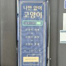 두물로11번길 11 이미지