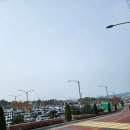 물의정원 공중화장실[진중-3] | 강화도 교동도 화개정원 l 인천 강화도 단풍구경 명소 l 교동도 여행코스추천 l 내돈내산 단풍나들이 후기